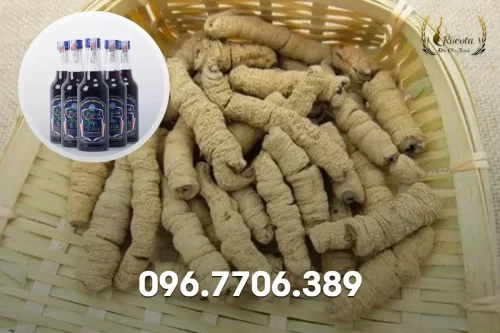 Ba kích dược liệu quý trong y học - thành phần chính sản xuất rượu ba kích hảo hạng