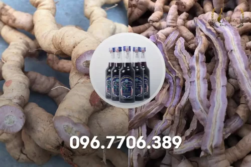 Quy trình sản xuất rượu ba kích - Rượu ba kích hảo hạng