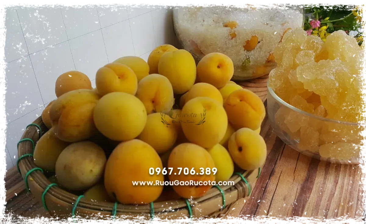 Bí quyết ngâm rượu mơ truyền thống – Tinh hoa văn hoá Việt