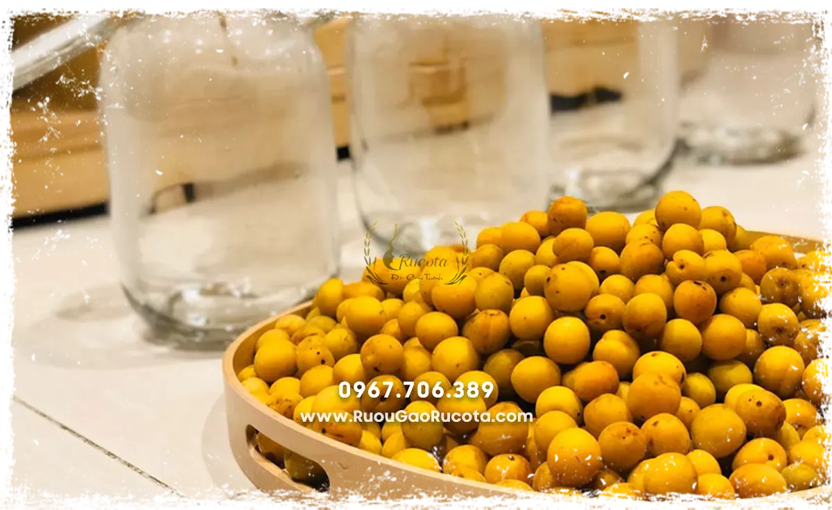 Bí quyết ngâm rượu mơ truyền thống – Tinh hoa văn hoá Việt