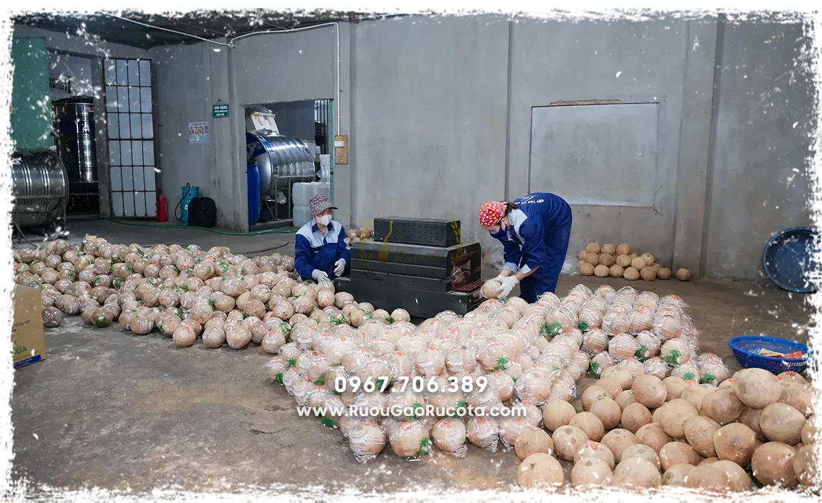 Doanh Nghiệp Rượu Rucota : Đẩy Mạnh Sản Xuất Chuẩn Bị Cho Tết 2025