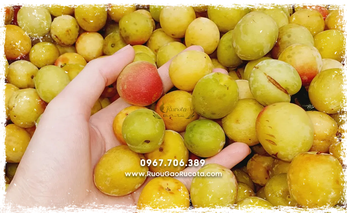 Set Quà Rượu Tết Dành Cho Cá Nhân Và Doanh Nghiệp: Món Quà Gửi Gắm Tinh Thần Ngày Xuân