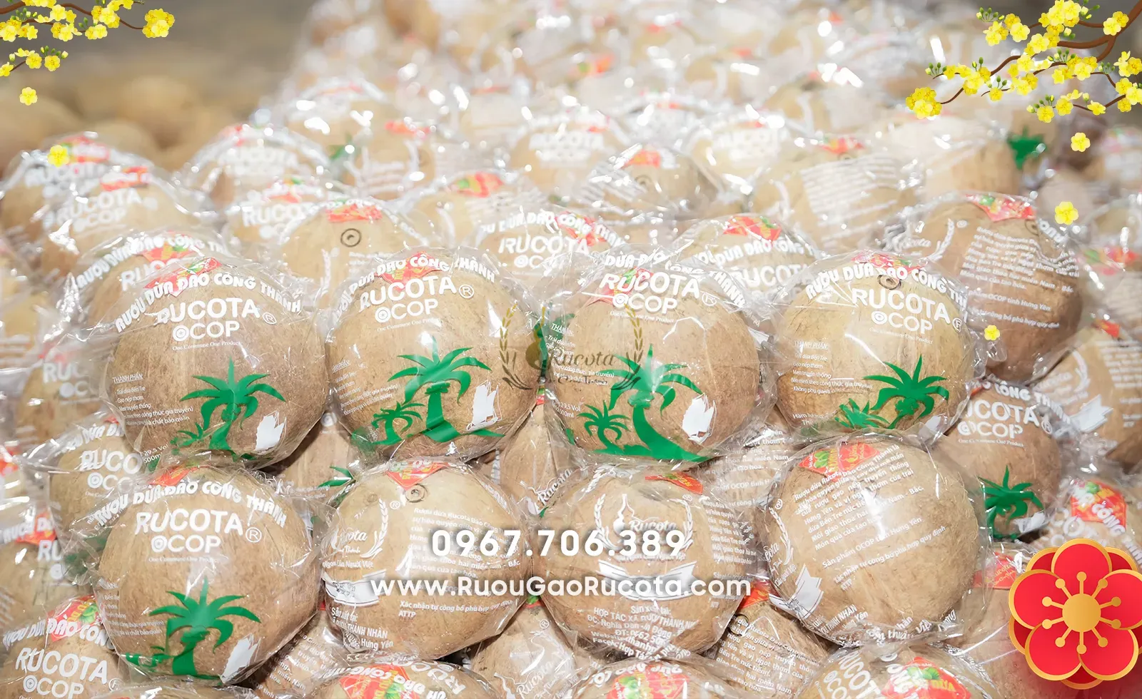 Rượu Dừa Và Nét Độc Đáo Trong Văn Hóa Ẩm Thực Ngày Xuân