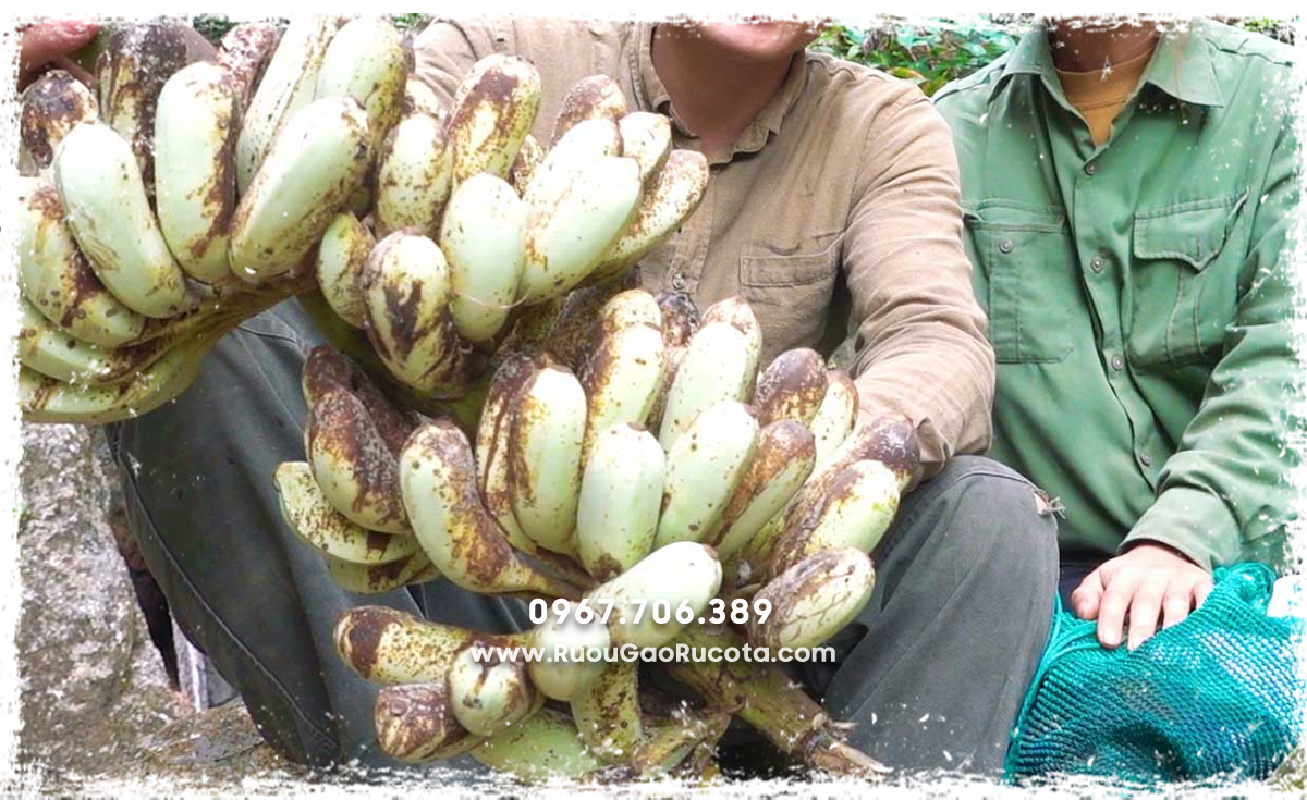 Rượu Chuối Hột Có Tốt Cho Xương Khớp Không?