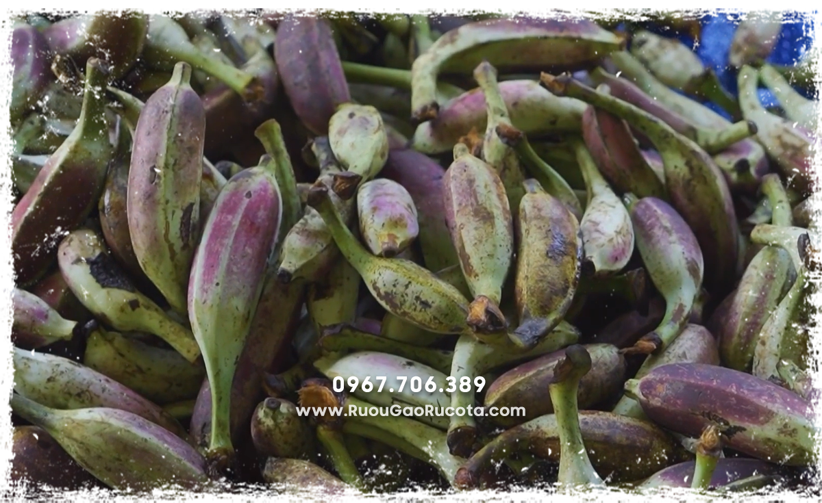 Rượu Chuối Hột Có Tốt Cho Xương Khớp Không?