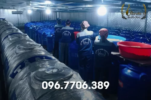 Quy trình sản xuất rượu quê tự nhiên, chất lượng nhất