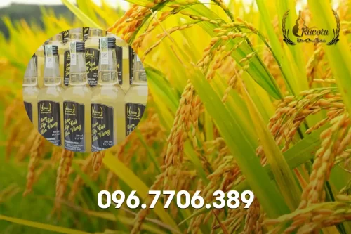 Rượu nếp cái hoa vàng ngon nhất