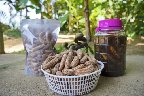 Chuối hột rừng khô - Nguyên liệu với nhiều công dụng tốt cho sức khoẻ