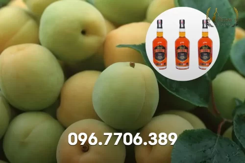 rượu mơ ngâm tại nhà