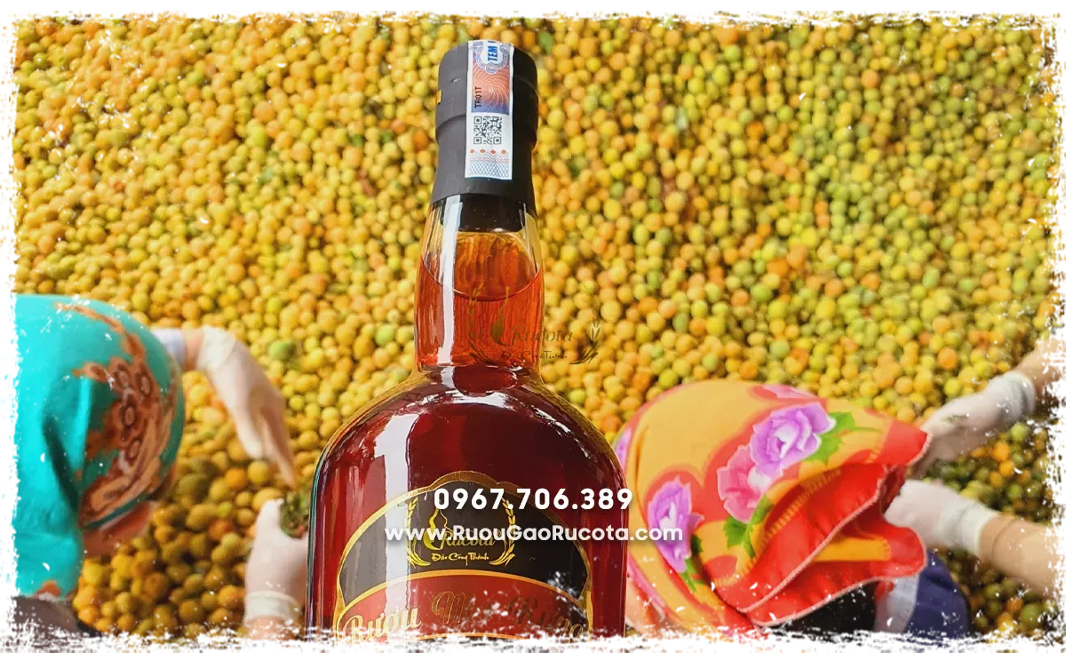 Khám phá quy trình sản xuất rượu truyền thống