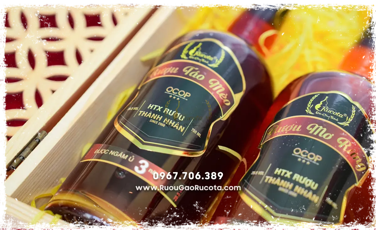 Mua rượu táo mèo và những điều bạn cần biết