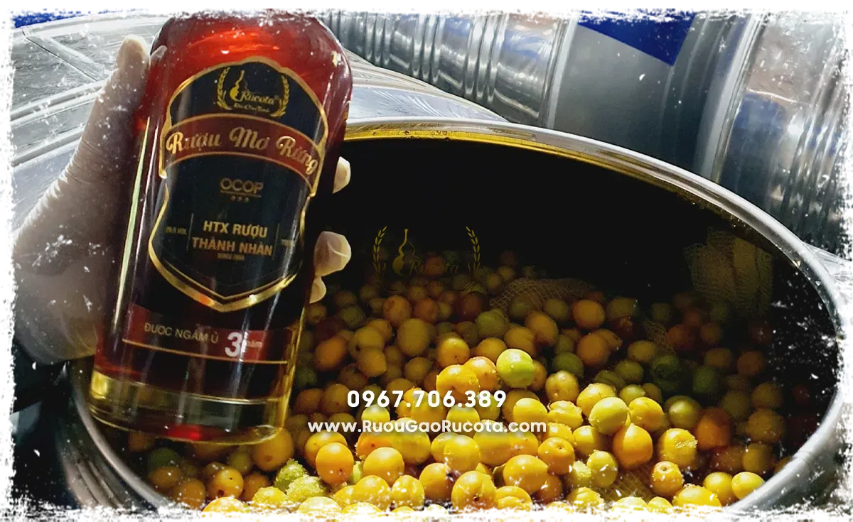 Bí quyết ngâm rượu mơ truyền thống – Tinh hoa văn hoá Việt