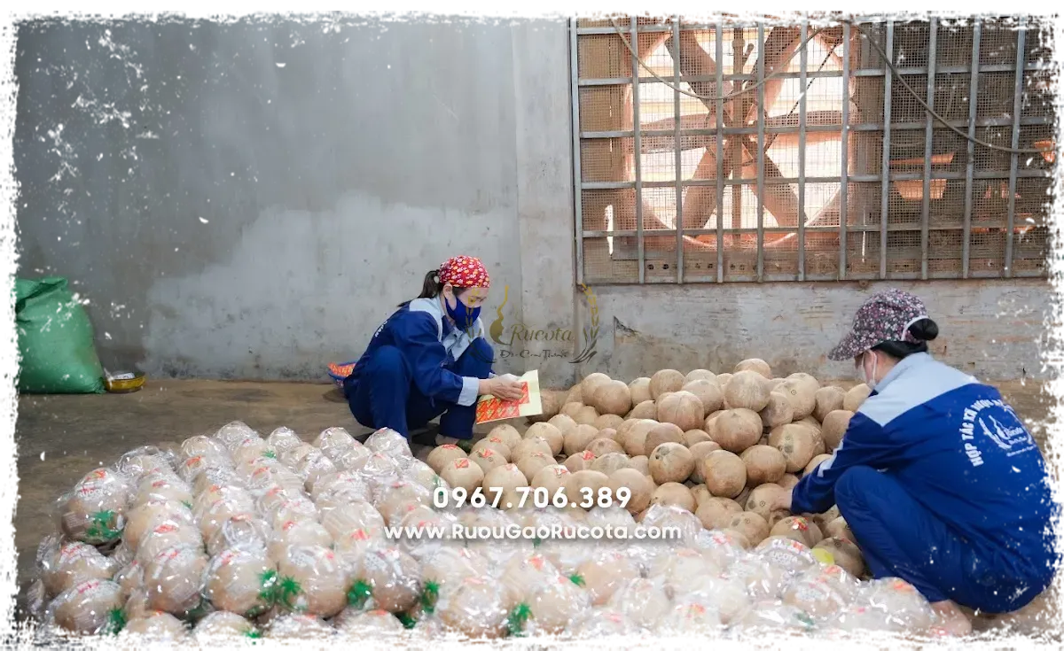 Mua rượu dừa truyền thống – hương vị từ nét đẹp dân gian