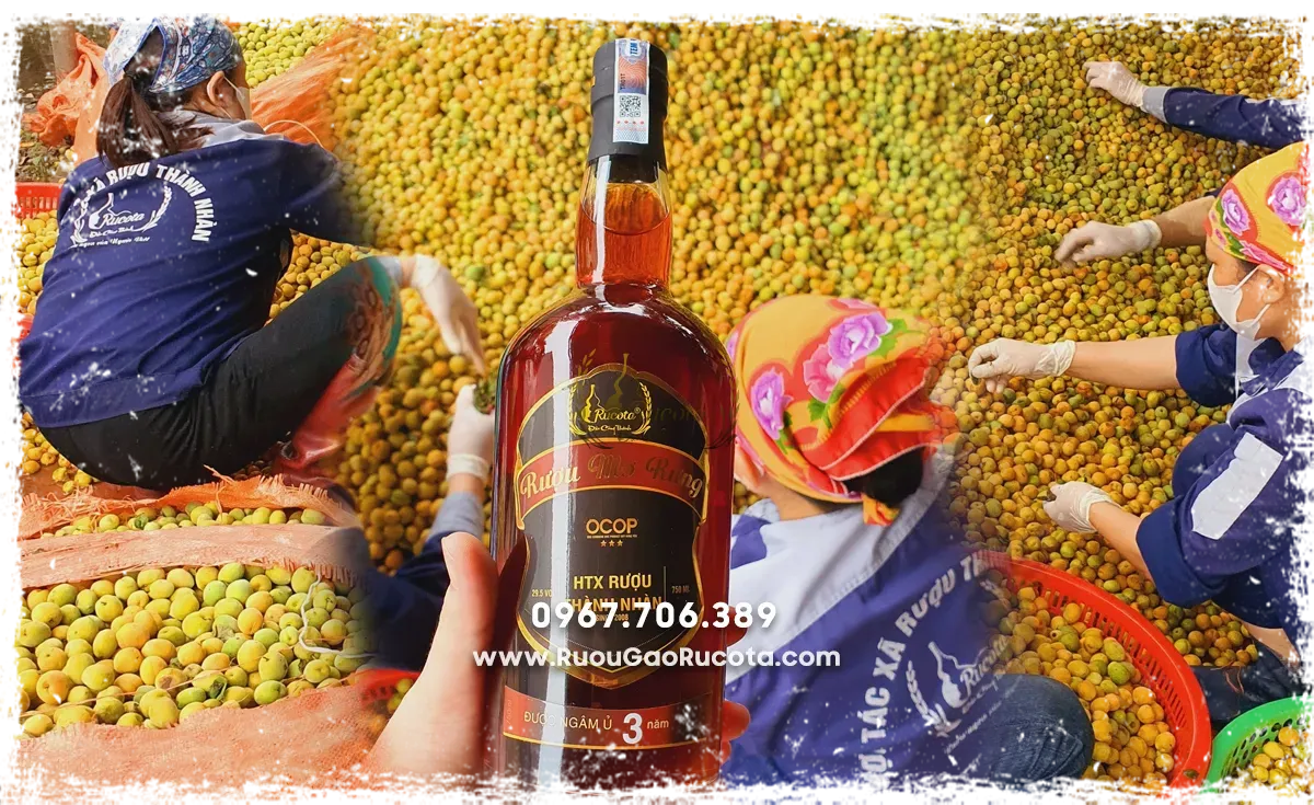 Set Quà Rượu Tết Dành Cho Cá Nhân Và Doanh Nghiệp: Món Quà Gửi Gắm Tinh Thần Ngày Xuân