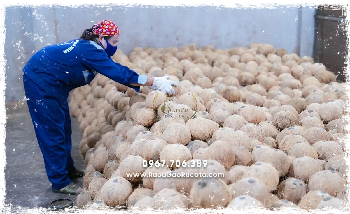 Chuẩn bị rượu cho tết 2025