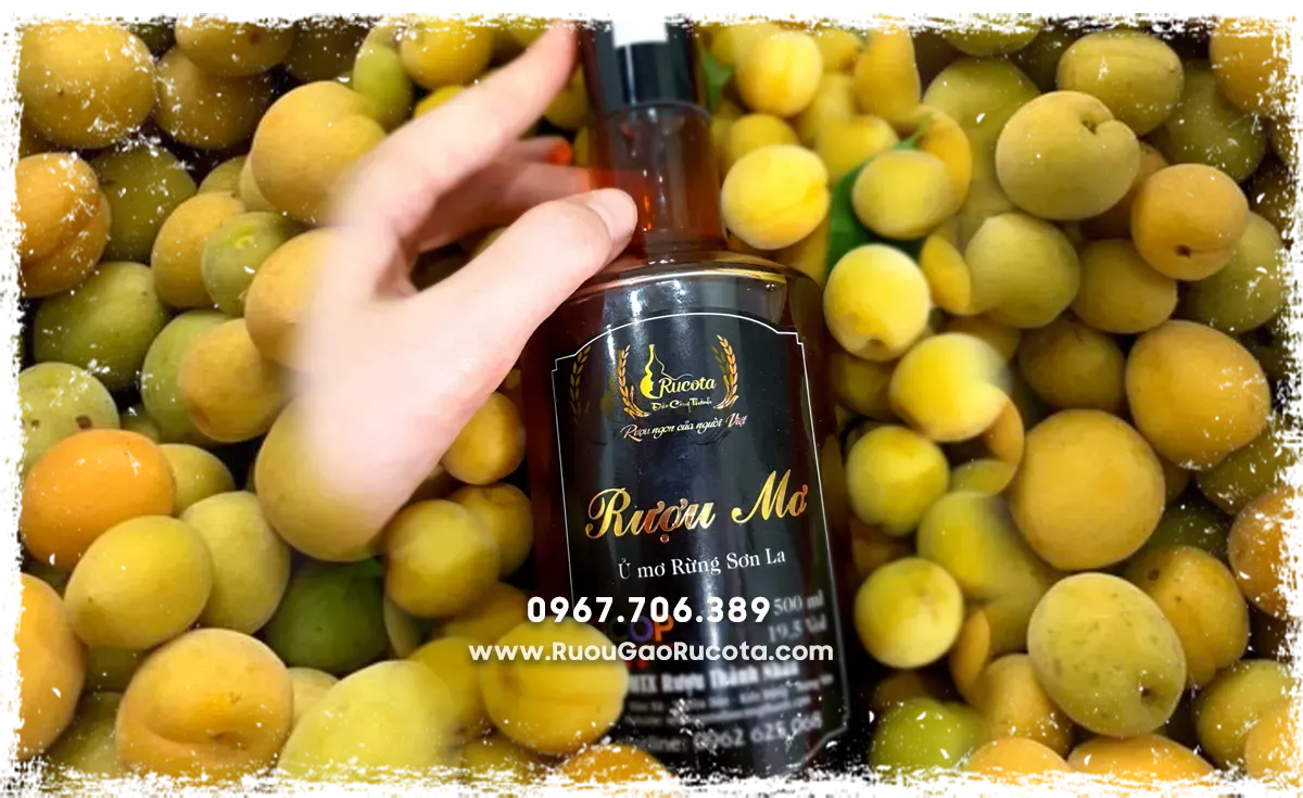 Set Quà Rượu Tết Dành Cho Cá Nhân Và Doanh Nghiệp: Món Quà Gửi Gắm Tinh Thần Ngày Xuân