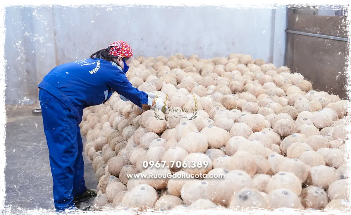 Rượu Dừa Ngon Nhất Hà Nội – Đậm Đà Hương Vị Truyền Thống