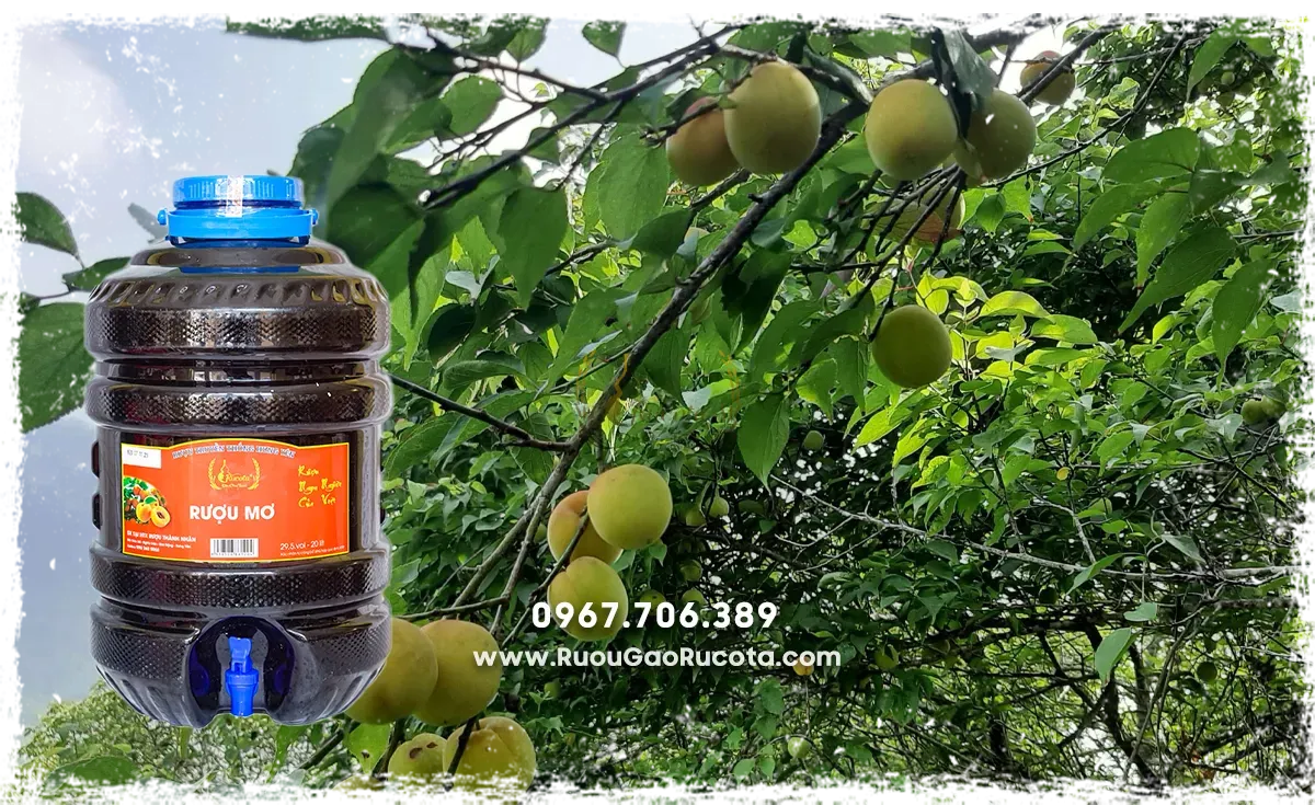 Mua Rượu Mơ Rừng Online: Chất Lượng Đỉnh Cao, Tiện Lợi Tại Nhà