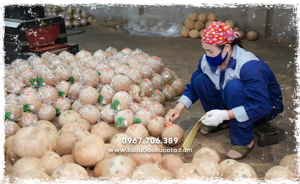 Xưởng Sản Xuất Rượu Rucota Những Ngày Cuối Năm – Điểm Đến Của Tinh Hoa Truyền Thống  