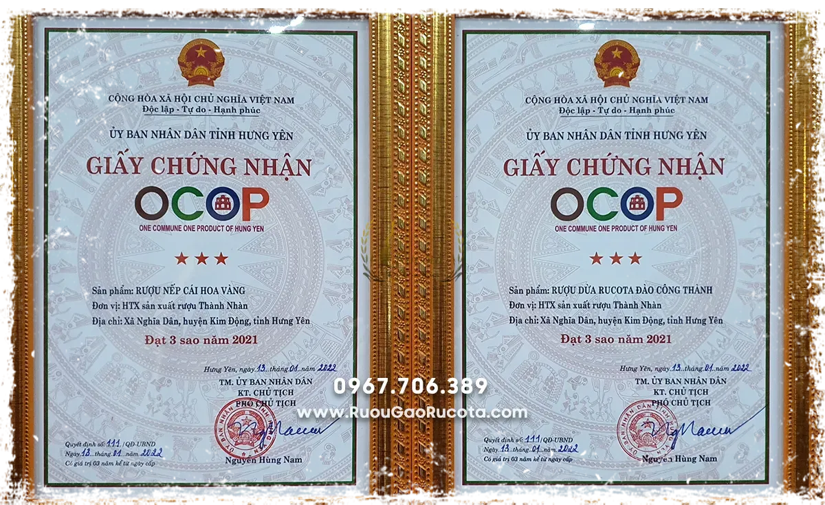 Rượu Dừa Phát Lộc – Món Quà Tinh Tế Mang Ý Nghĩa Tài Lộc