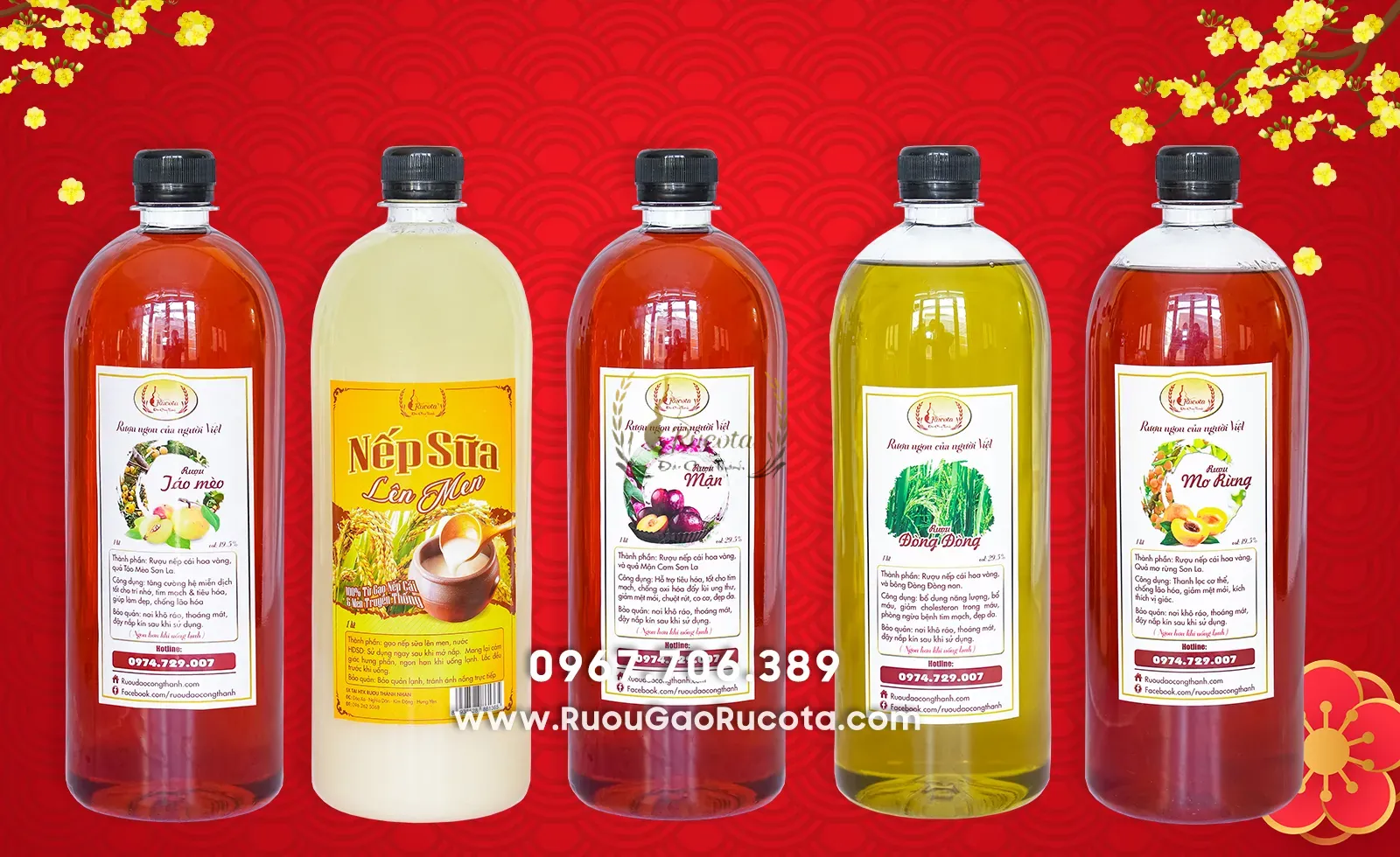 So Sánh Các Loại Rượu Truyền Thống: Đâu Là Sự Lựa Chọn Hoàn Hảo Cho Ngày Tết?