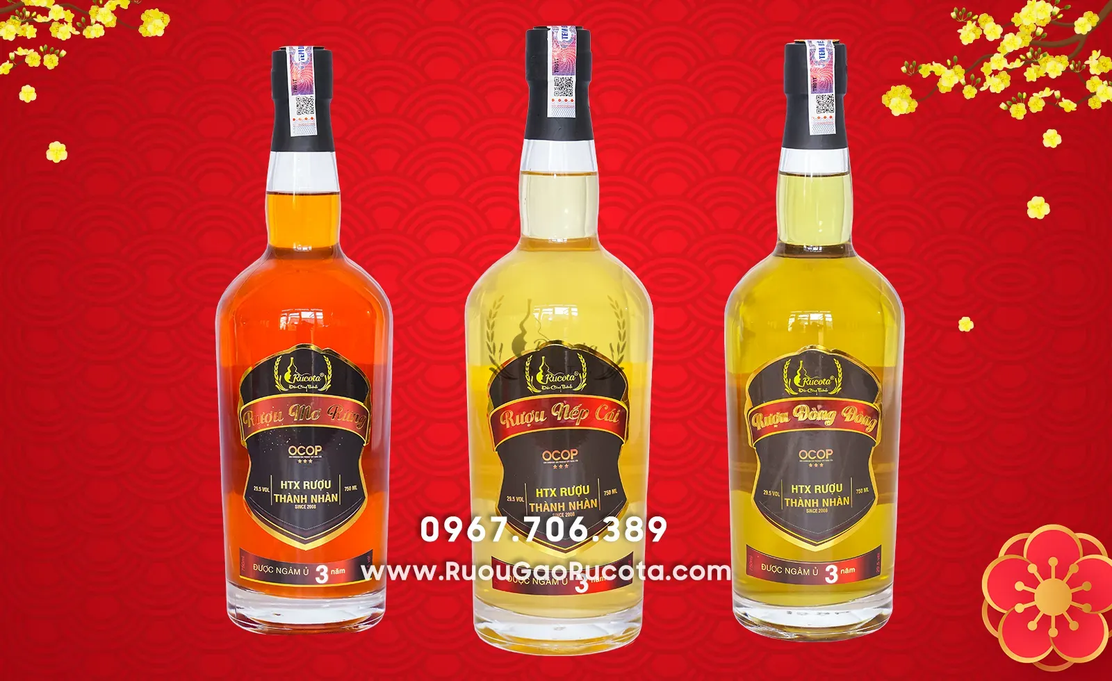 So Sánh Các Loại Rượu Truyền Thống: Đâu Là Sự Lựa Chọn Hoàn Hảo Cho Ngày Tết?