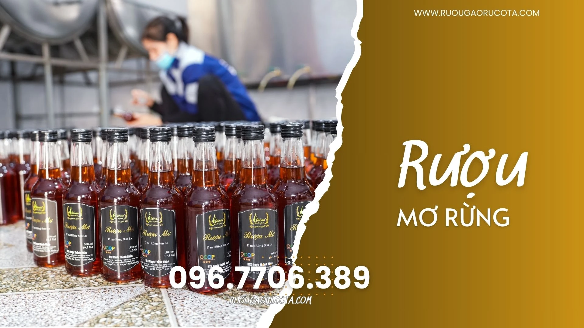 Rượu Táo Mèo Hà Nội – Địa Chỉ Mua Uy Tín Năm 2025