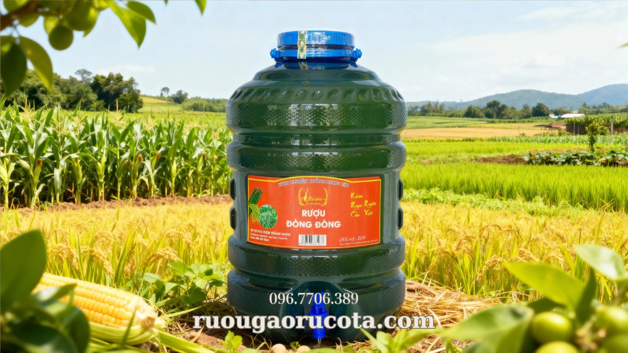 So sánh rượu đòng đòng Rucota với các loại rượu nếp truyền thống khác